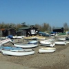 Boats Galore