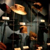 Wardown Park & Museum