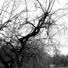 Wardown Park & Museum