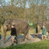 Whipsnade Zoo