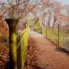 Nature Walk, Didsbury