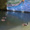 Beckets Park