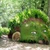 Grass head at Lost Gardens of Heligan
