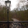 A view looking east towards the bay, along Church Ravine on a bleak winters day