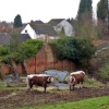 Tutbury: Castle neighbours