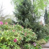 Walton Gardens, Cheshire