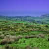 Emerald Isle County Antrim