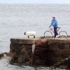 Isle of Arran. A Mooring Post painted as a sheep