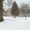 Botanical Gardens 24th February 2005 under three inches of snow