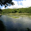 Bosherston lilly ponds, Pembrokeshire, Wales