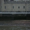Traitor's gate, Tower of London