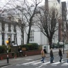 Pattie(george), Gordon(paul), Felicia(ringo), Annamarie(john) crossing Abbey Road