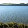 Teign estuary, Devon