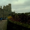 Windsor Castle