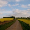 Salt Way above Winchcombe, Gloucestershire