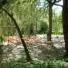The flamingos at Flamingo Land Theme Park & Zoo