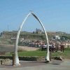 The whale bones at Whitby, North Yorkshire