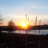 Ferry Meadows