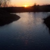 Ferry Meadows