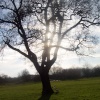 Ferry Meadows