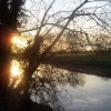 Ferry Meadows
