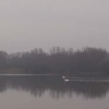 Ferry Meadows