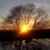 Ferry Meadows