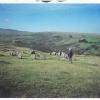 Nine Maidens Stone Circle