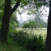 Magdalen Tower from the Deer Park
