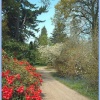 Pathway at Exbury Gardens