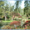 Pond and Island. Exbury Gardens 2004