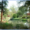 Pond at Exbury Gardens