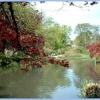 Pond at Exbury Gardens