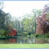 Pond at Exbury Gardens