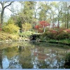 Pond at Exbury Gardens