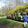 The fun train at Royal Victoria Country Park, Hampshire