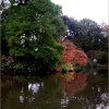 Exbury Gardens, Hampshire