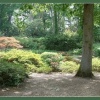 Exbury Gardens, Hampshire.  England