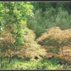 Exbury Gardens.  Hampshire. England.