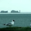 The Needles from Milford-on-Sea.