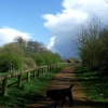 I have called this one April Lane.  Taken in April 2005 at Eastleigh Lakeside Park Hampshire.