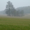 Fox Farm, Amport, Hampshire