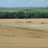 Round barrows, Winterbourne Abbas, Dorset