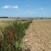 Round barrows above bronze age settlement