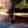 Brockenhurst, Hampshire