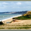 Gorse at Milford-on-Sea, Hampshire