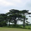 Attingham Park