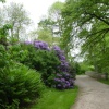 Attingham Park