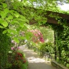 A walk in The Dingle, Shrewsbury