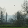 Maud Heath, Chippenham, Wiltshire. Spring 2005
